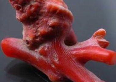 صفحه اصلی Coral