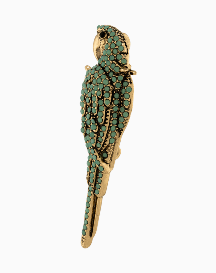 BHWGOCXX02000009-1 `Shooka Turquoise Parrot Brooch
