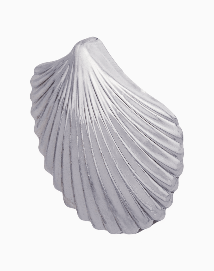 Shoucka Silver Scallop Shell Hair Clip for Women | Steel